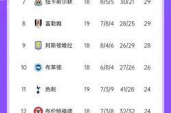 爱游戏app下载-曼城击败对手，继续领跑英超积分榜