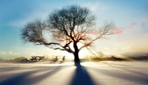 越南雄心：足球梦燃动东南亚，半决赛荣光为谁而歌