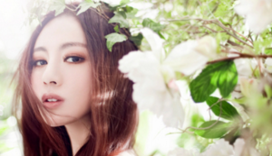 精英对决即将开启，赛场上演绚烂华章