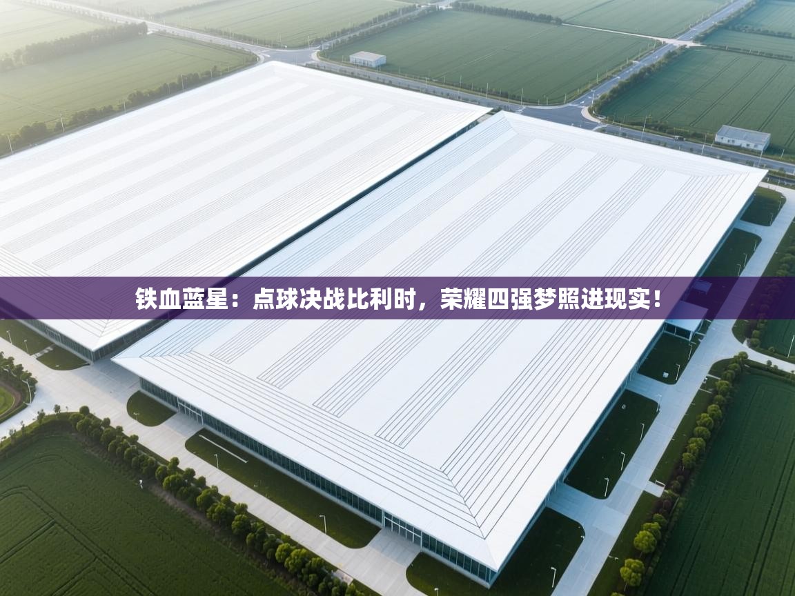 铁血蓝星：点球决战比利时，荣耀四强梦照进现实！  第1张